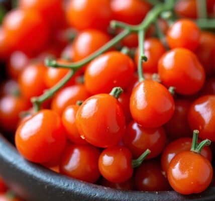 Baies de goji : astuces et conseils pour les déguster au mieux